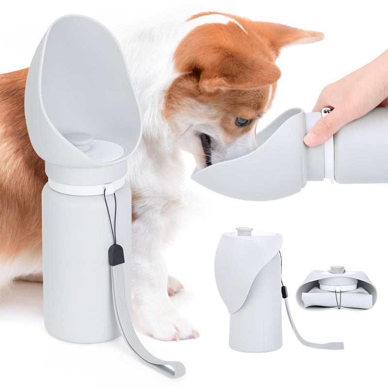 Portable Water Bottle for Dogs & Cats β Hydration + Treats On The Go