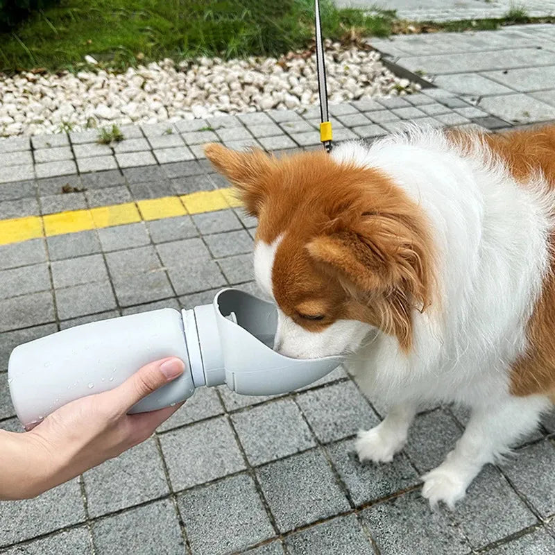Portable Water Bottle for Dogs & Cats — Hydration + Treats On The Go